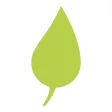 Pothos