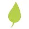 Pothos