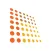 HKFsPA E-Learning Platform