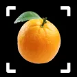 Fruit Identifier - By Photo