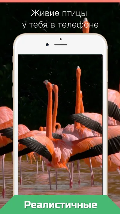 صور Live Wallpapers for iPhone №1