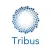 Tribus Team