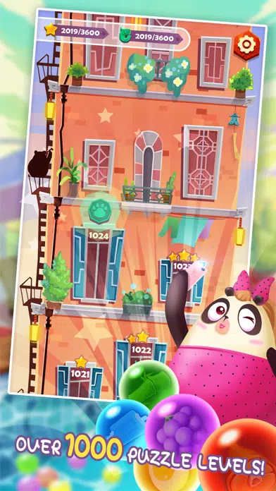 Panda Bubble : Love Story Ekran Görüntüleri