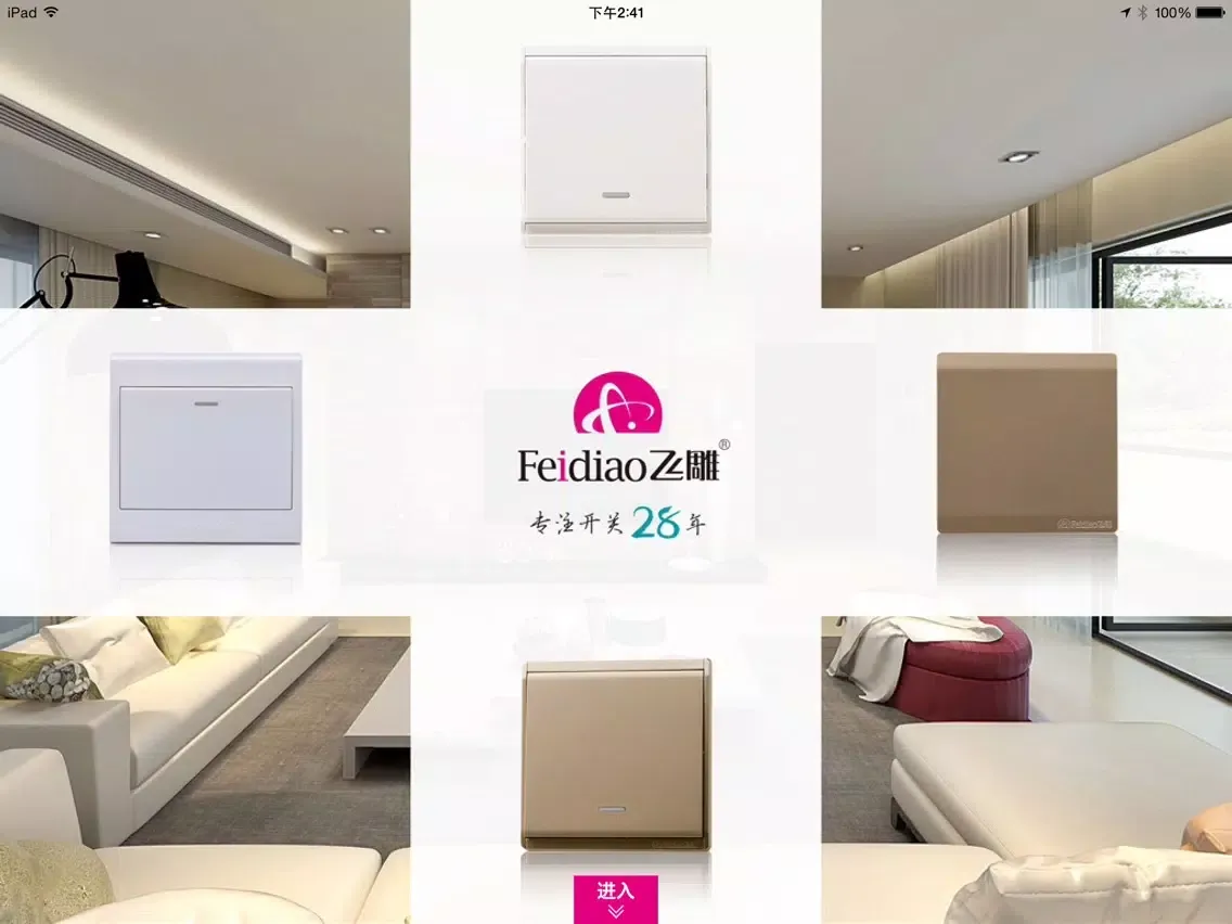 飞雕电器 iPad 应用截图