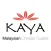Kaya Malaysian Chinese