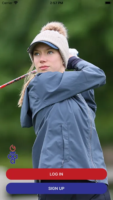Capturas de tela do AAA Golf