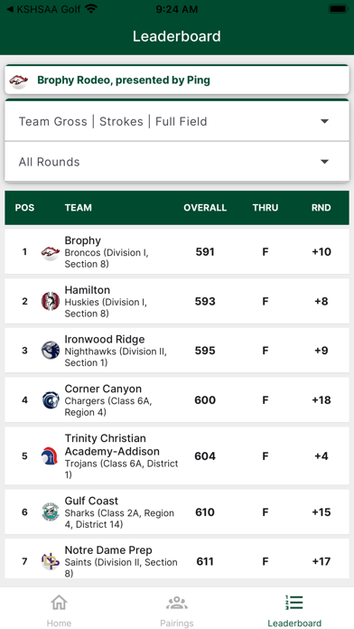 HI HS Golf 스크린샷