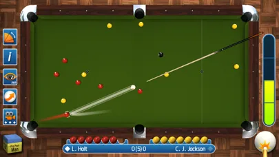 ภาพหน้าจอของ Pro Pool 2024