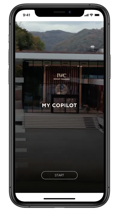 My Copilot Screenshots