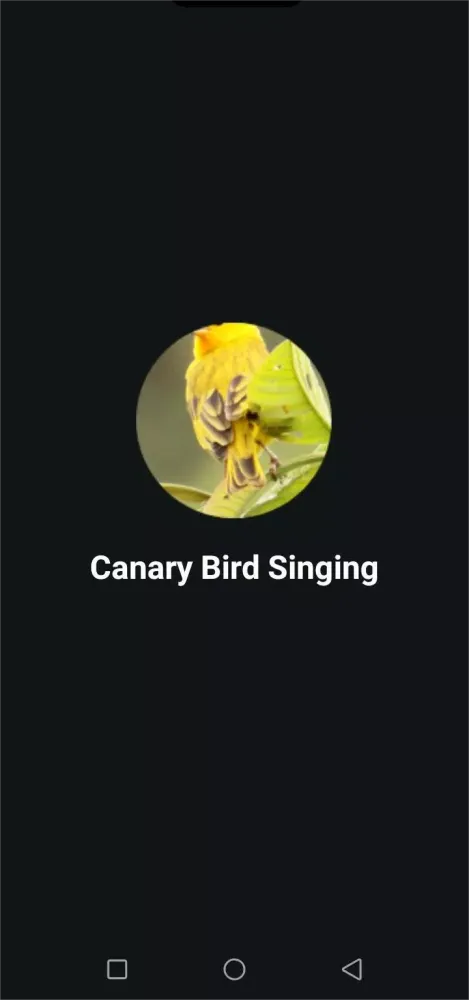 Canary bird singing Screenshots