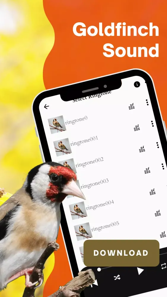 goldfinch sound应用截图