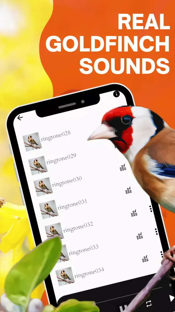 goldfinch sound应用截图