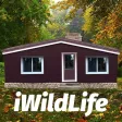 iWildlife Pro iWildlife Pro