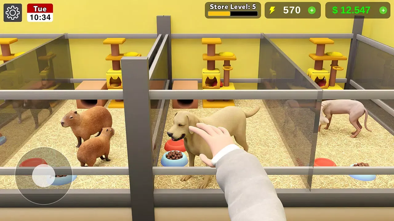 Скриншоты Pet Shop Manager Simulation