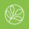 Evergreen Valley College