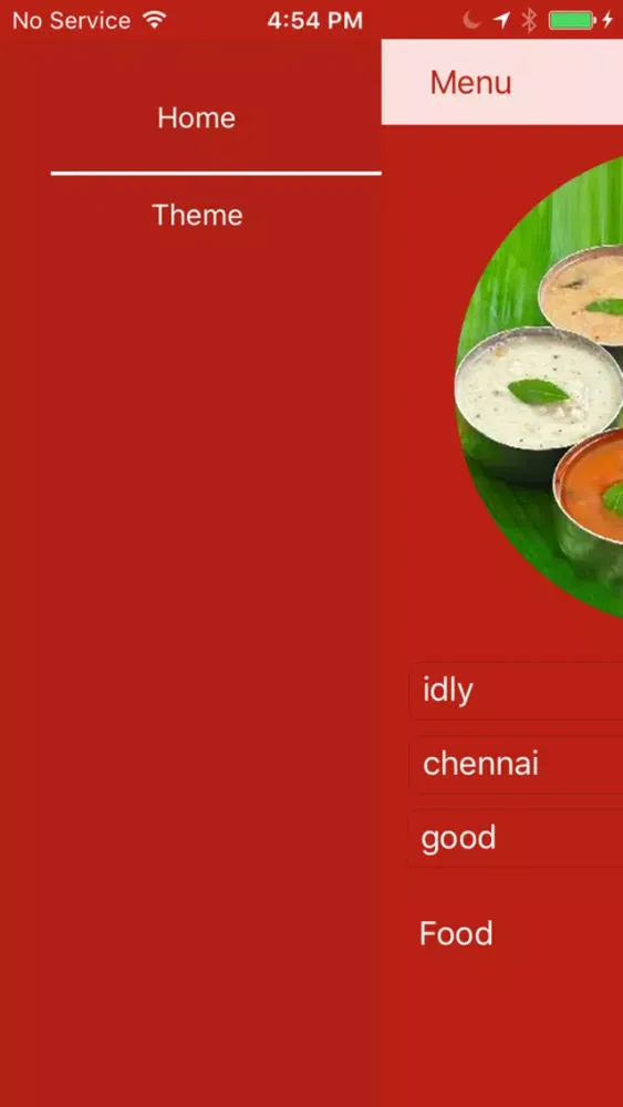 Food Record应用截图