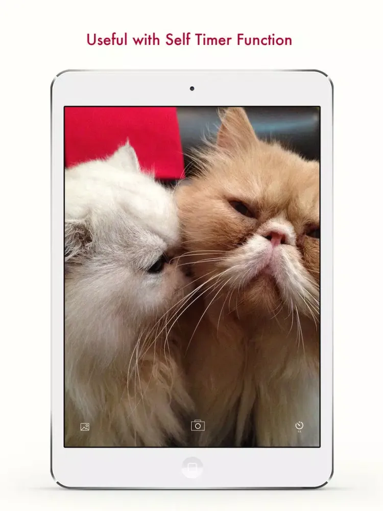 Zrzuty ekranu iZaFi : Selfy Camera iPad 