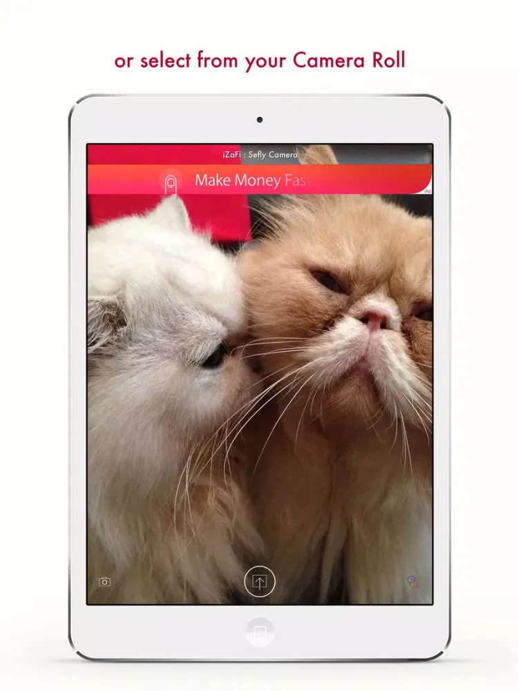 Zrzuty ekranu iZaFi : Selfy Camera iPad 