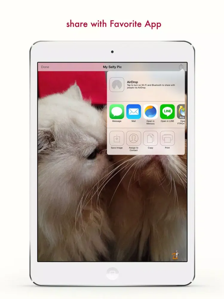Zrzuty ekranu iZaFi : Selfy Camera iPad 