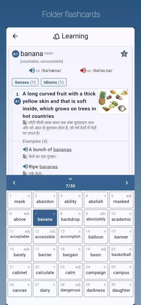 Скриншоты English-Hindi Dictionary Pro