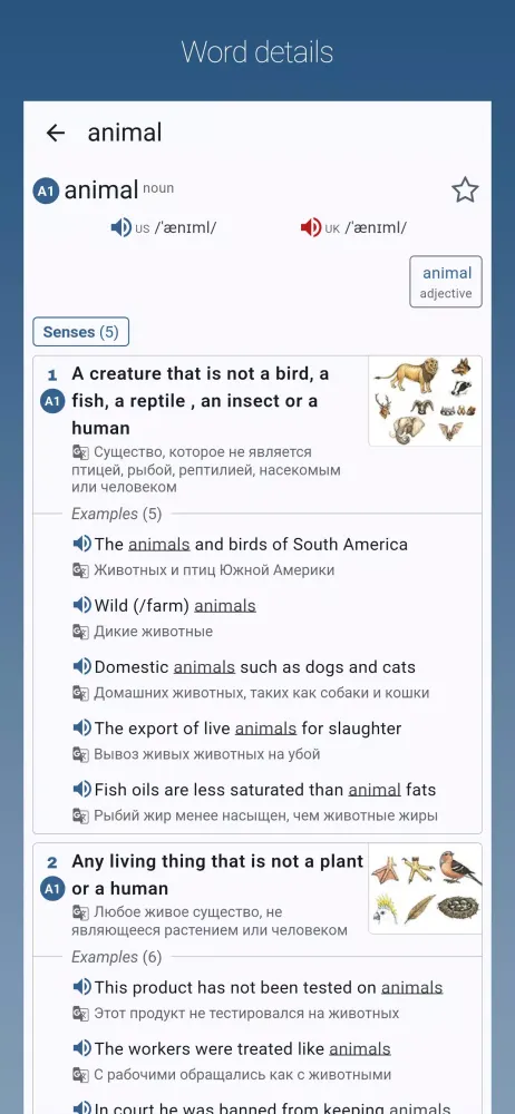 Capturas de pantalla de English-Russian Dictionary Pro