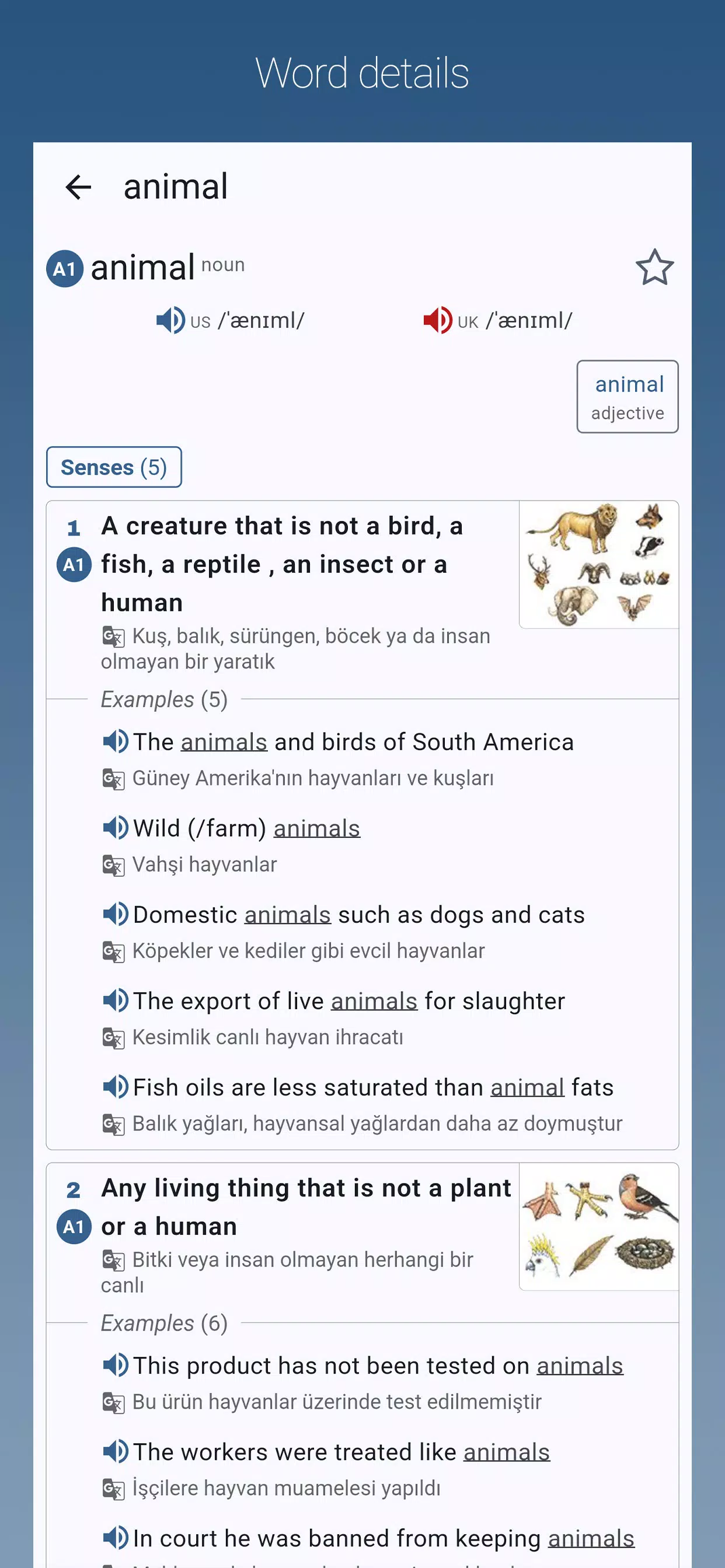 English-Turkish Dictionary Pro Screenshots