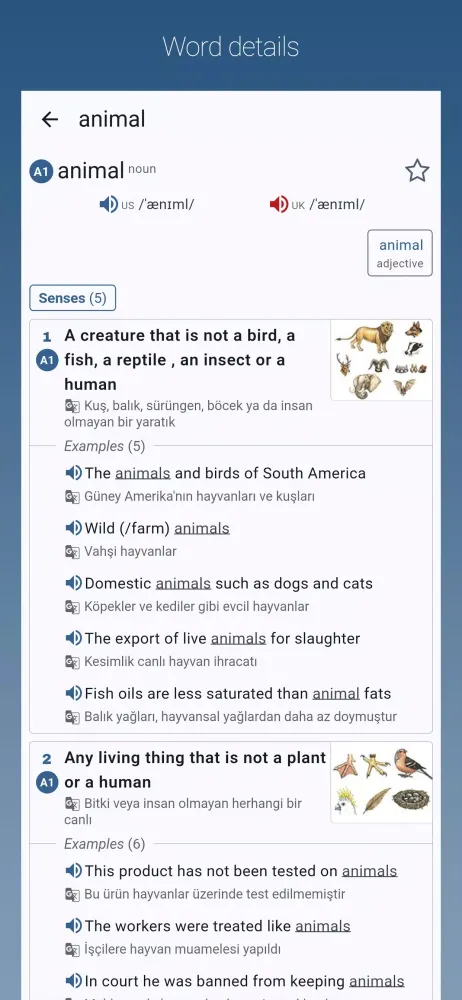 English-Turkish Dictionary Pro应用截图