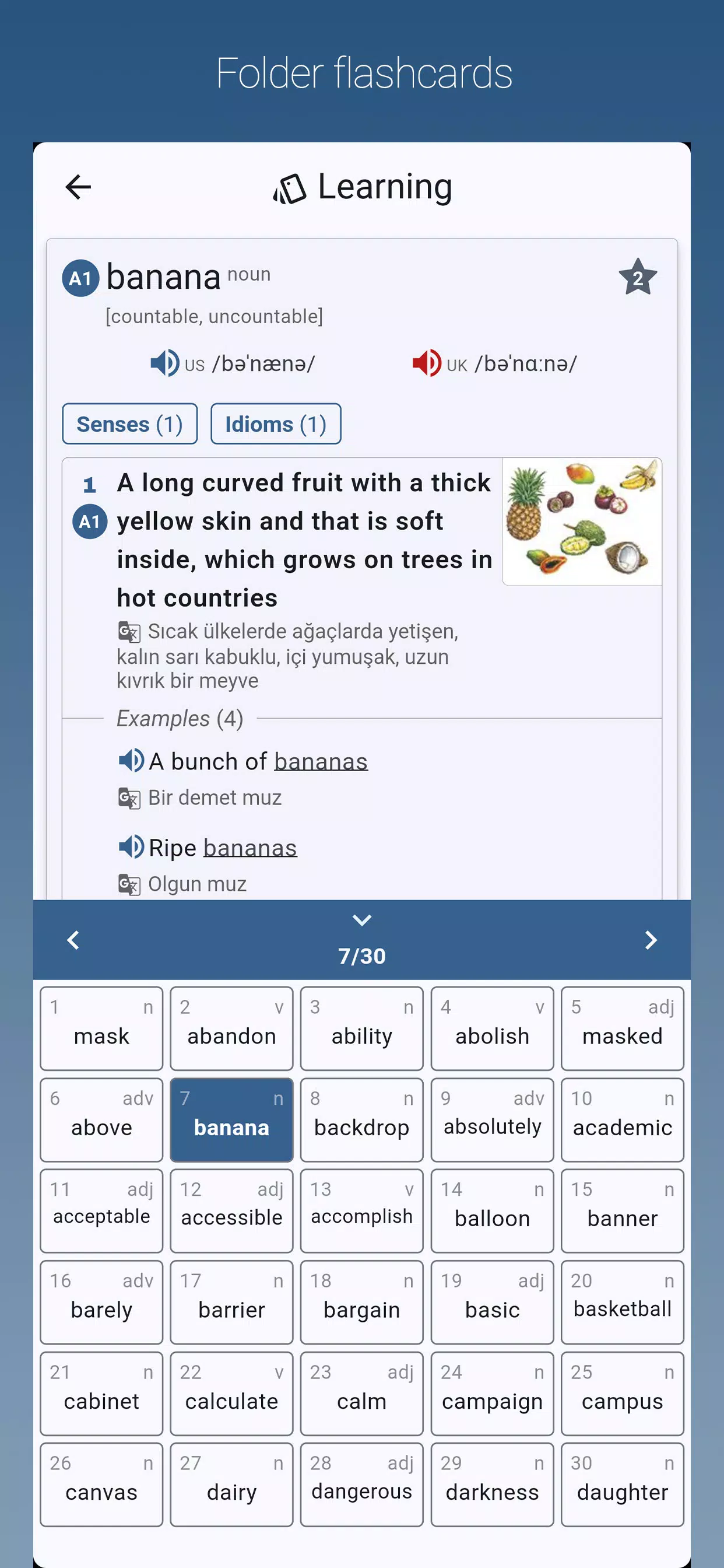 English-Turkish Dictionary Pro Screenshots