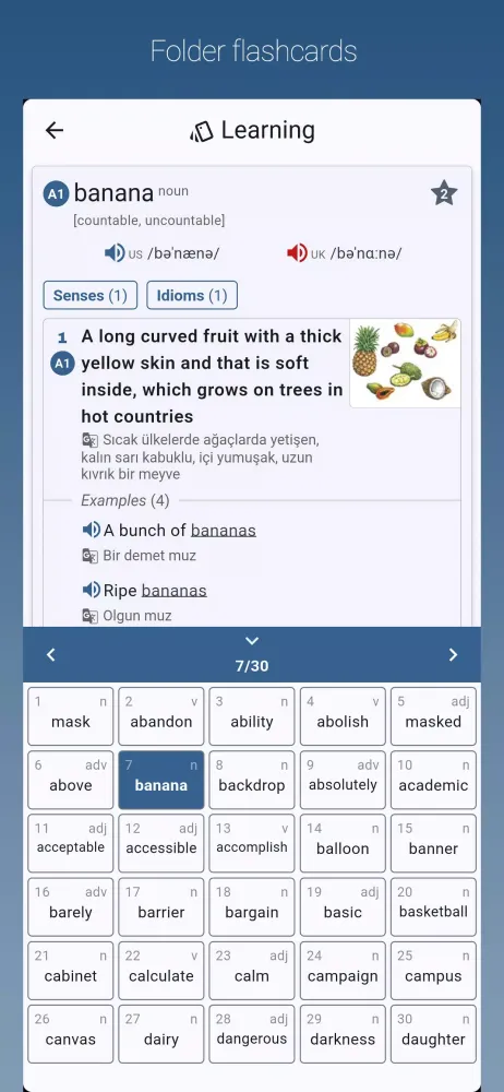 English-Turkish Dictionary Pro应用截图