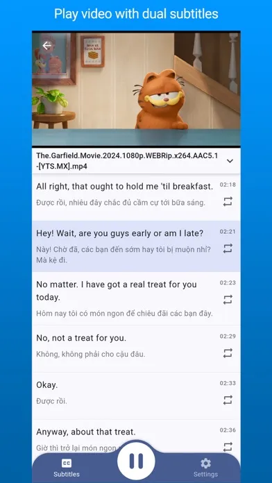 Dual Subtitles Player Screenshots