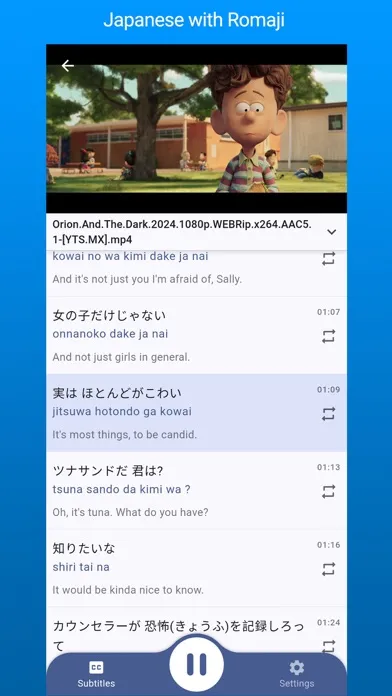Dual Subtitles Player Screenshots