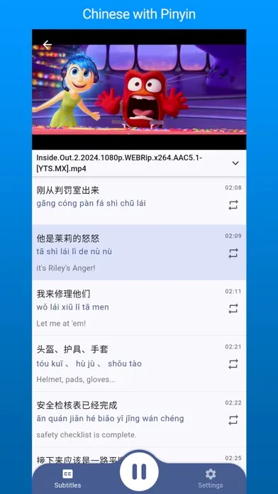 Dual Subtitles Player Screenshots