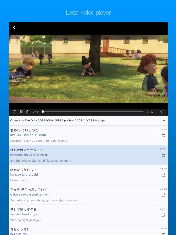 Video Lingo dual subtitles iPad  Screenshots