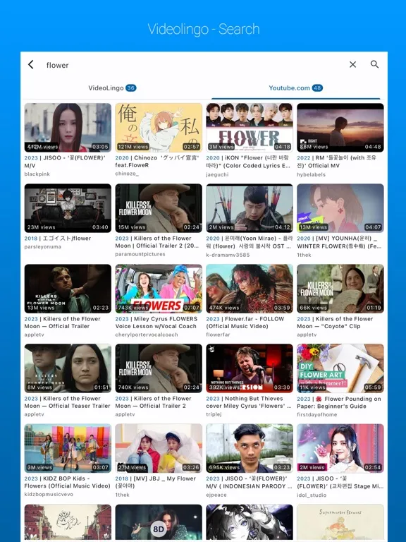 Video Lingo dual subtitles iPad  Screenshots