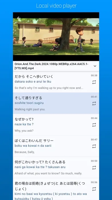 Video Lingo dual subtitles Screenshots