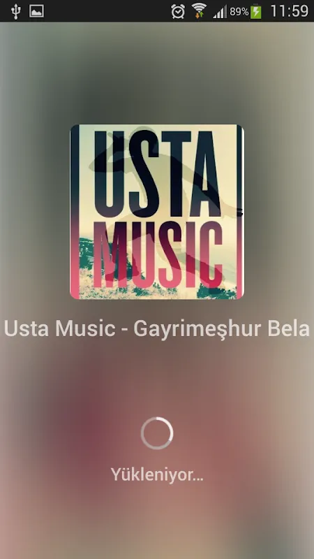 Usta Music স্ক্রিনশট