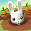 Rabbit In The Hole Rabbit In The Hole