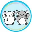 Chinchilla Minny New Normal