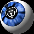 Dogs Eye camera with VR