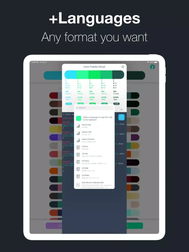 Color to Code iPad  スクリーンショット
