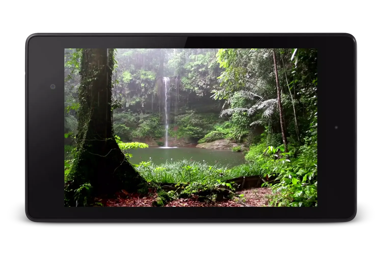 Capturas de pantalla de Tropical Rain Video Wallpaper