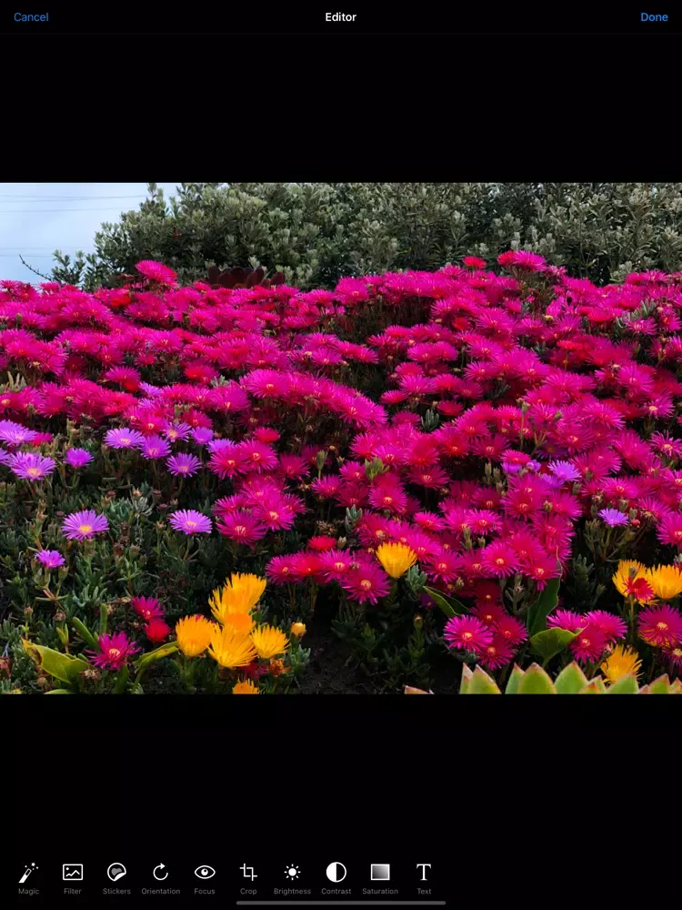Capturas de pantalla de LR Presets : Photo Editor iPad 