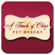 A Touch of Class Pet Resort