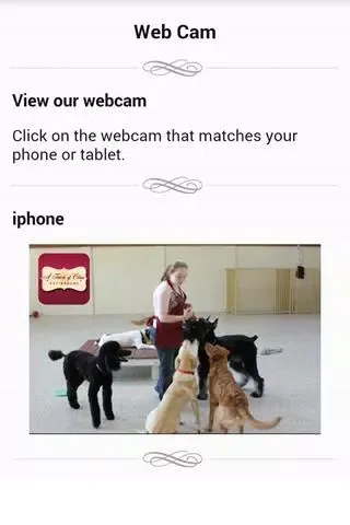 تصاویر A Touch of Class Pet Resort