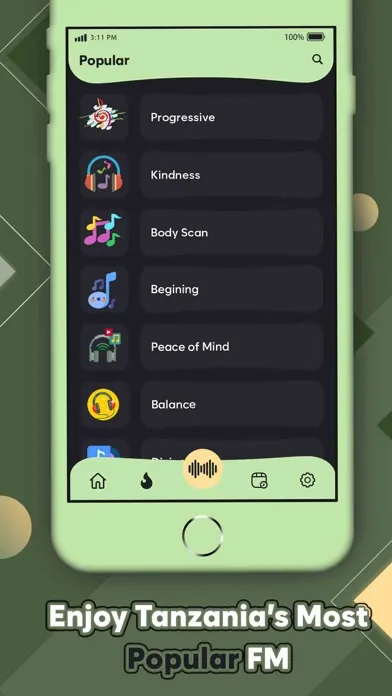 Tanzania Music FM应用截图