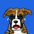 BoxerMOJI - Boxer Emojis BoxerMOJI - Boxer Emojis