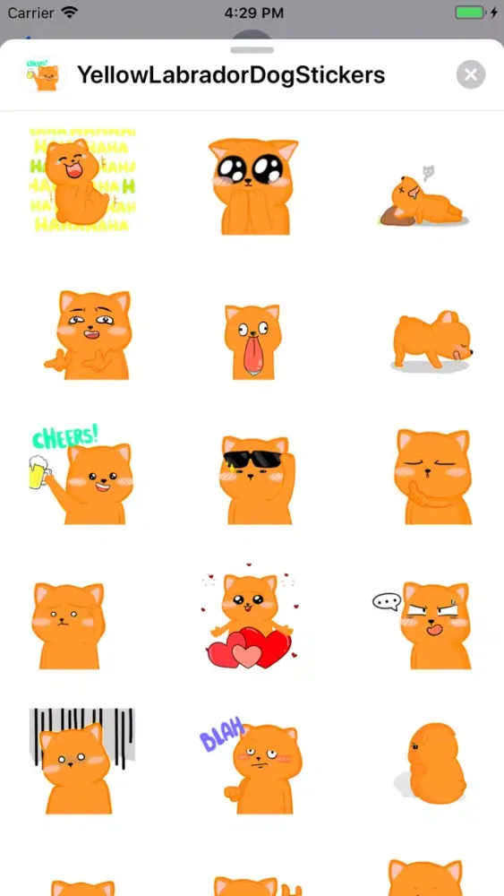 Tangkapan skrin Yellow Labrador Dog Stickers