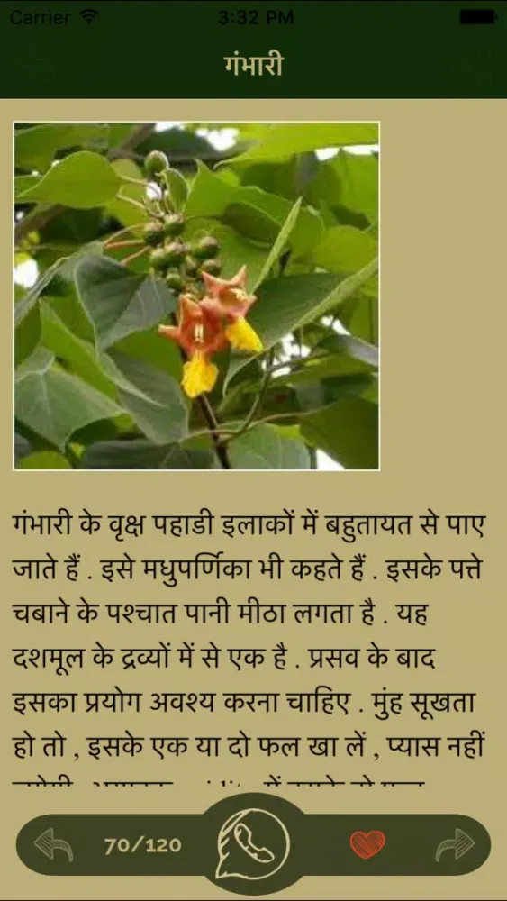 Hindi Ayurvedic Natural herb & Herbal Medicine Screenshots