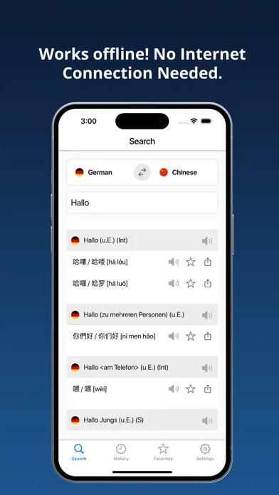 ภาพหน้าจอของ German Chinese Dictionary +