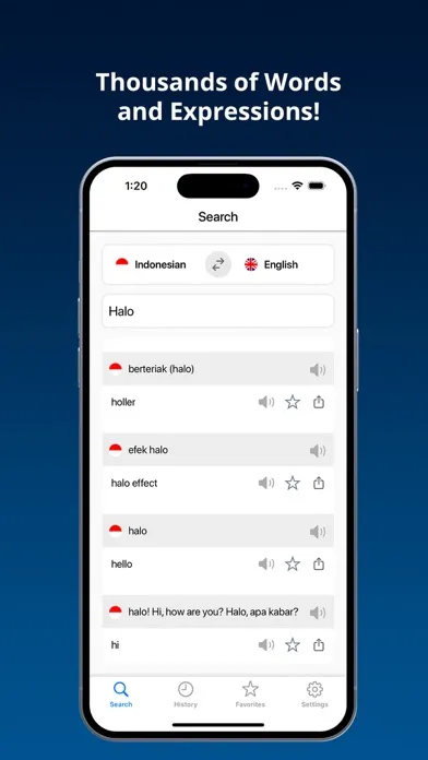 English Indonesian Dictionary+ 스크린샷